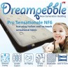DreamPebble